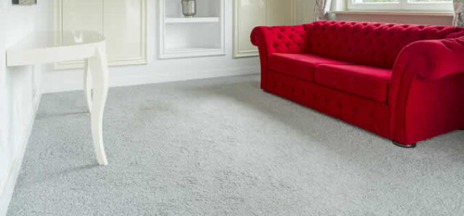 Discover the Secret to Warm and Cozy Living Spaces with Carpet