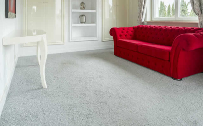 Discover the Secret to Warm and Cozy Living Spaces with Carpet