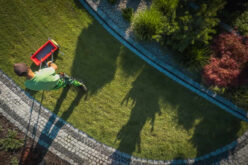 Expert Tips for Achieving a Beautiful Lawn
