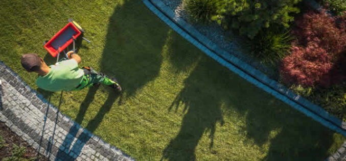 Expert Tips for Achieving a Beautiful Lawn