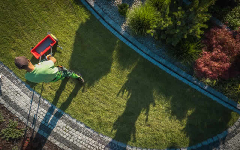Expert Tips for Achieving a Beautiful Lawn