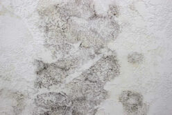 What Items To Keep Or Discard After A Mold Encounter?