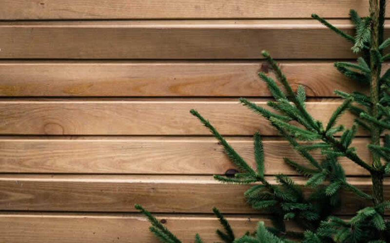 5 Things to Understand About Board and Batten Siding