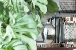 How to Blend Indoor Comfort With Outdoor Freshness