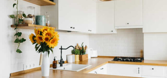 Innovative Kitchen Makeovers: The Latest Trends in Stylish and Functional Spaces
