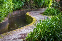 Backyard Oasis: Creative Designs to Elevate Your Outdoor Space