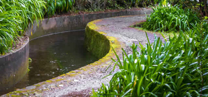 Backyard Oasis: Creative Designs to Elevate Your Outdoor Space