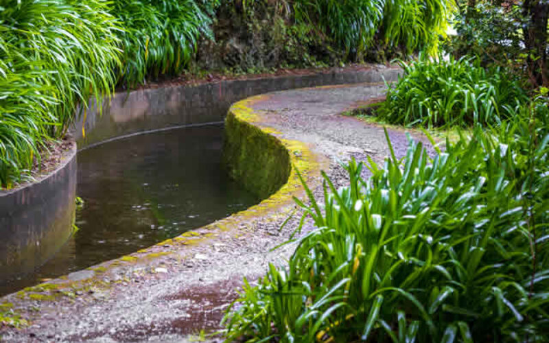 Backyard Oasis: Creative Designs to Elevate Your Outdoor Space