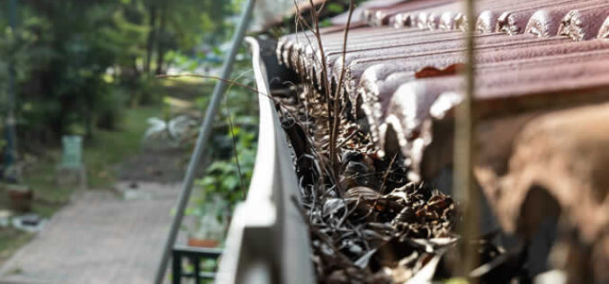 5 Benefits Of Getting Your Gutters Regularly Cleaned