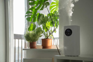Improving Indoor Air Quality: Tips for a Healthier Home