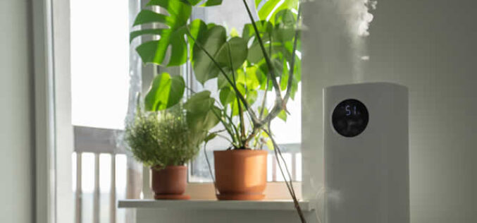Improving Indoor Air Quality: Tips for a Healthier Home