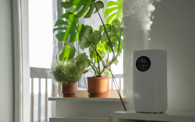 Improving Indoor Air Quality: Tips for a Healthier Home