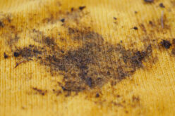 How To Remove Rust Stains From The Carpet?