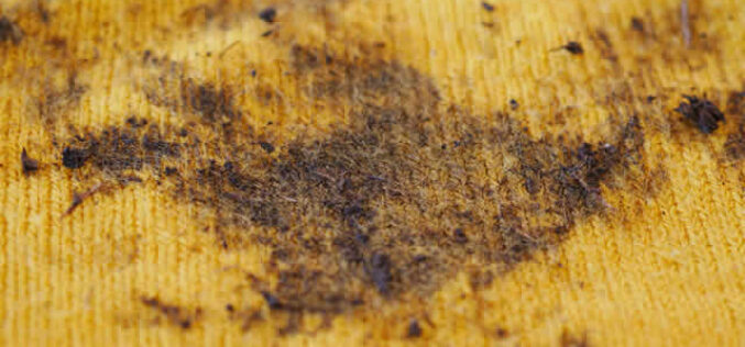How To Remove Rust Stains From The Carpet?