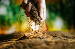 Cultivating Success with Soil Alternatives for a Lush Spring Garden