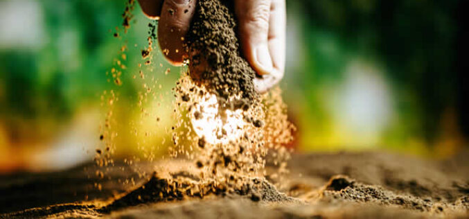Cultivating Success with Soil Alternatives for a Lush Spring Garden