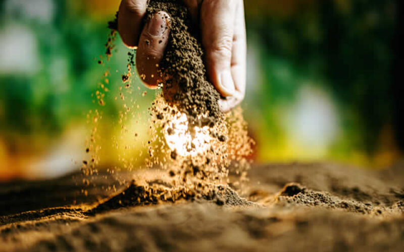 Cultivating Success with Soil Alternatives for a Lush Spring Garden