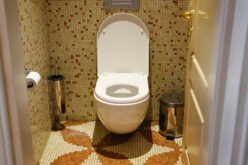 Are Water-Efficient Toilets Worth the Switch for Homeowners?
