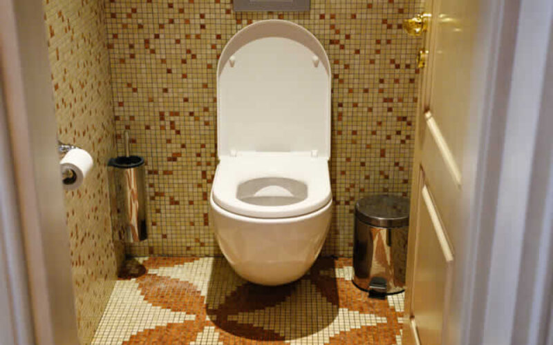 Are Water-Efficient Toilets Worth the Switch for Homeowners?