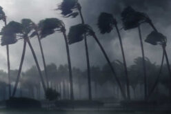 Essential Hardware Solutions for Hurricane Preparedness
