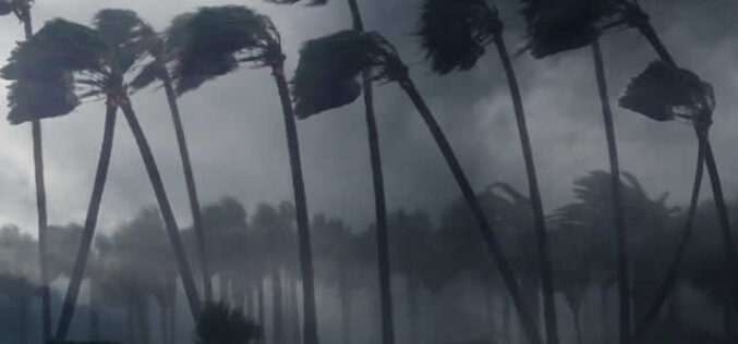 Essential Hardware Solutions for Hurricane Preparedness