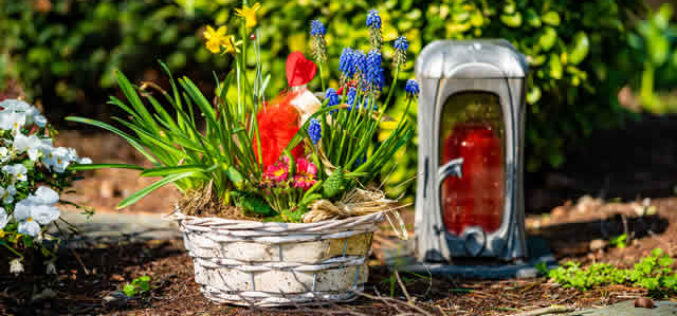 6 Easy Ways to Decorate Your Yard