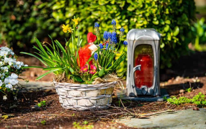 6 Easy Ways to Decorate Your Yard