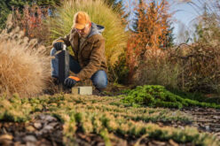 Must-Do Landscaping Tasks for the Winter Season