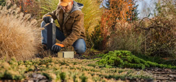 Must-Do Landscaping Tasks for the Winter Season