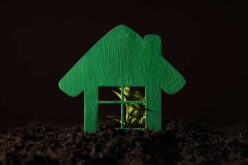 Eco-Friendly Homes: Sustainability at the Heart of Modern Living