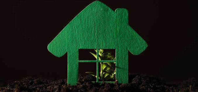 Eco-Friendly Homes: Sustainability at the Heart of Modern Living