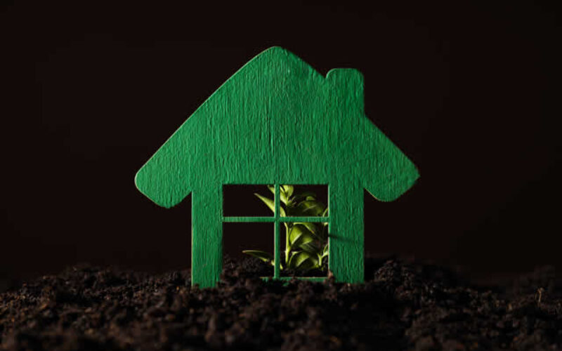 Eco-Friendly Homes: Sustainability at the Heart of Modern Living