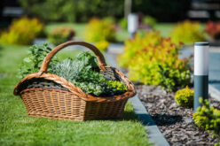 5 Tips to Low-Maintenance Landscaping