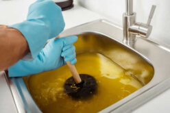 From Hair to Tree Roots: Understanding Common Causes of Clogged Drains
