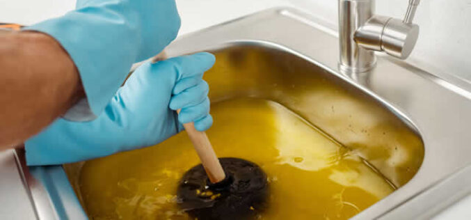 From Hair to Tree Roots: Understanding Common Causes of Clogged Drains