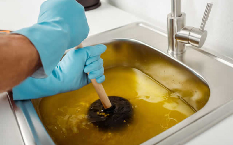 From Hair to Tree Roots: Understanding Common Causes of Clogged Drains