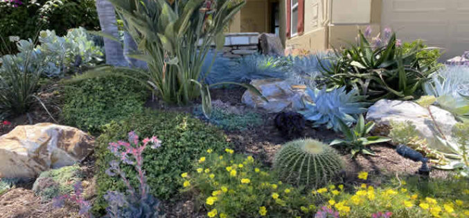 Front Yard Landscaping Ideas to Boost Curb Appeal This Spring
