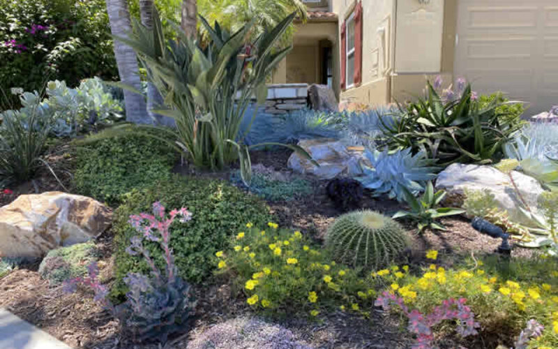 Front Yard Landscaping Ideas to Boost Curb Appeal This Spring