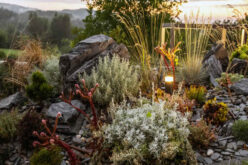 Naturalistic Designs for Your Home Landscape: A Guide to Biodiversity and Beauty