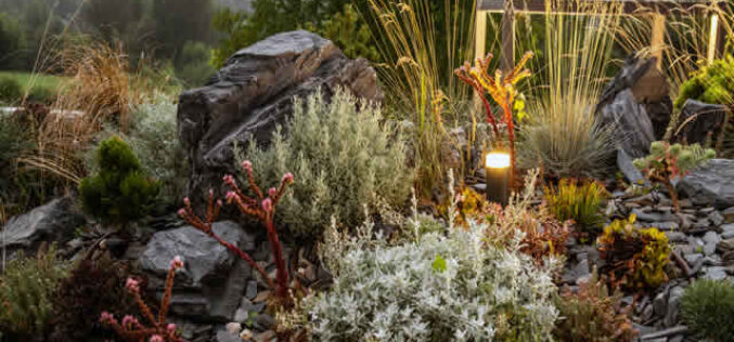 Naturalistic Designs for Your Home Landscape: A Guide to Biodiversity and Beauty