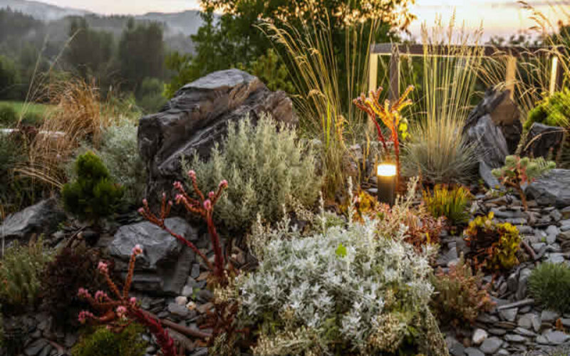 Naturalistic Designs for Your Home Landscape: A Guide to Biodiversity and Beauty