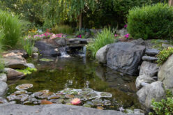 Transform Your Outdoor Space with Eco-Friendly Pond Designs