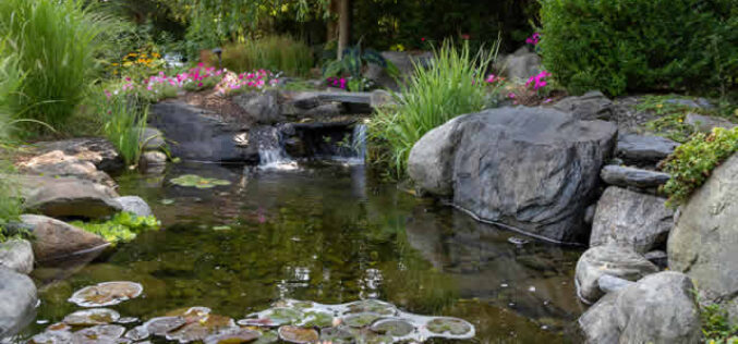 Transform Your Outdoor Space with Eco-Friendly Pond Designs