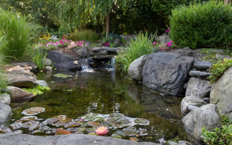 Transform Your Outdoor Space with Eco-Friendly Pond Designs
