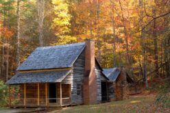 What Are the Biggest Ongoing Expenses for Log Cabin Owners?