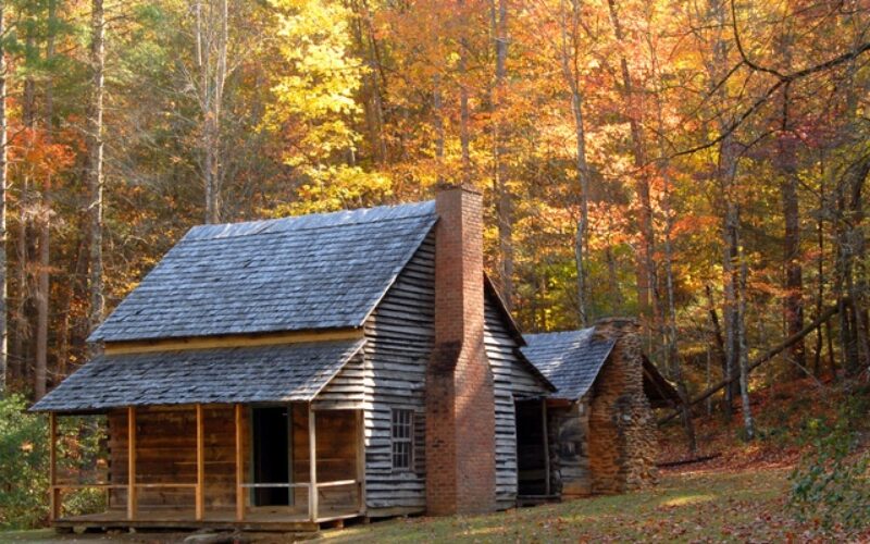 What Are the Biggest Ongoing Expenses for Log Cabin Owners?
