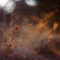 2025 Allergy Season: How to Protect Yourself from High Pollen Counts