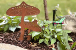 Brighten Your Landscape with Solar-Powered Accents