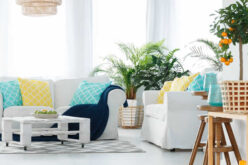 Elevate Your Spaces With Summer’s Hottest Décor Trends