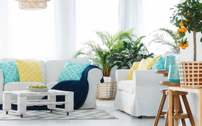 Elevate Your Spaces With Summer’s Hottest Décor Trends